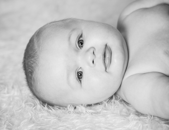 Twin Cities River Falls infant photo.jpg